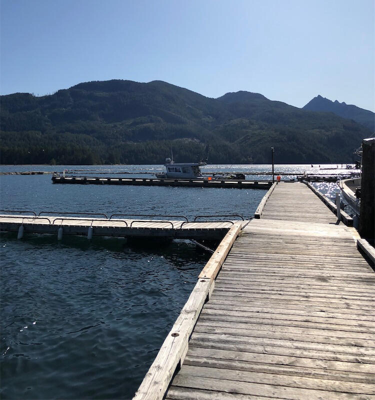 At the docks At the docks
